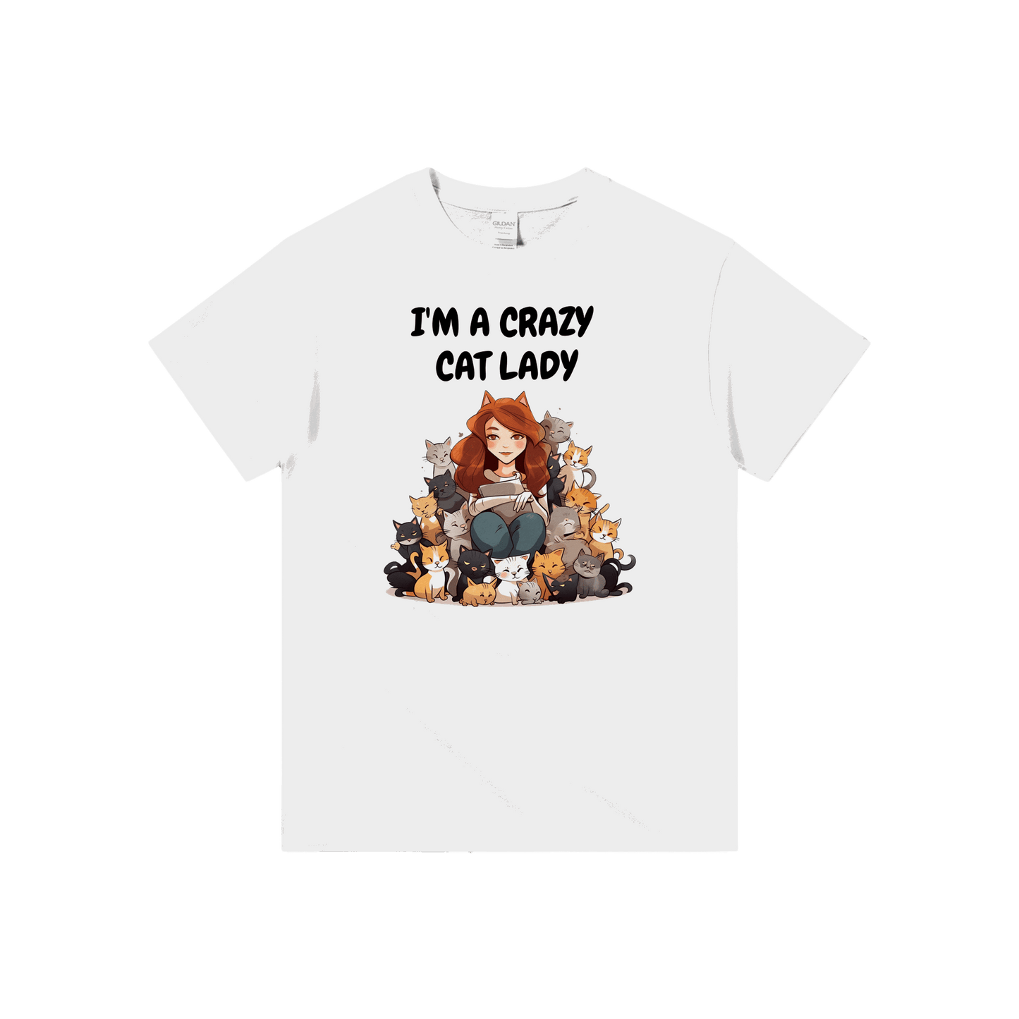 Crazy Cat Lady T Shirt Canvas Prints in Accrington Number Plates Accrington IntelliPix