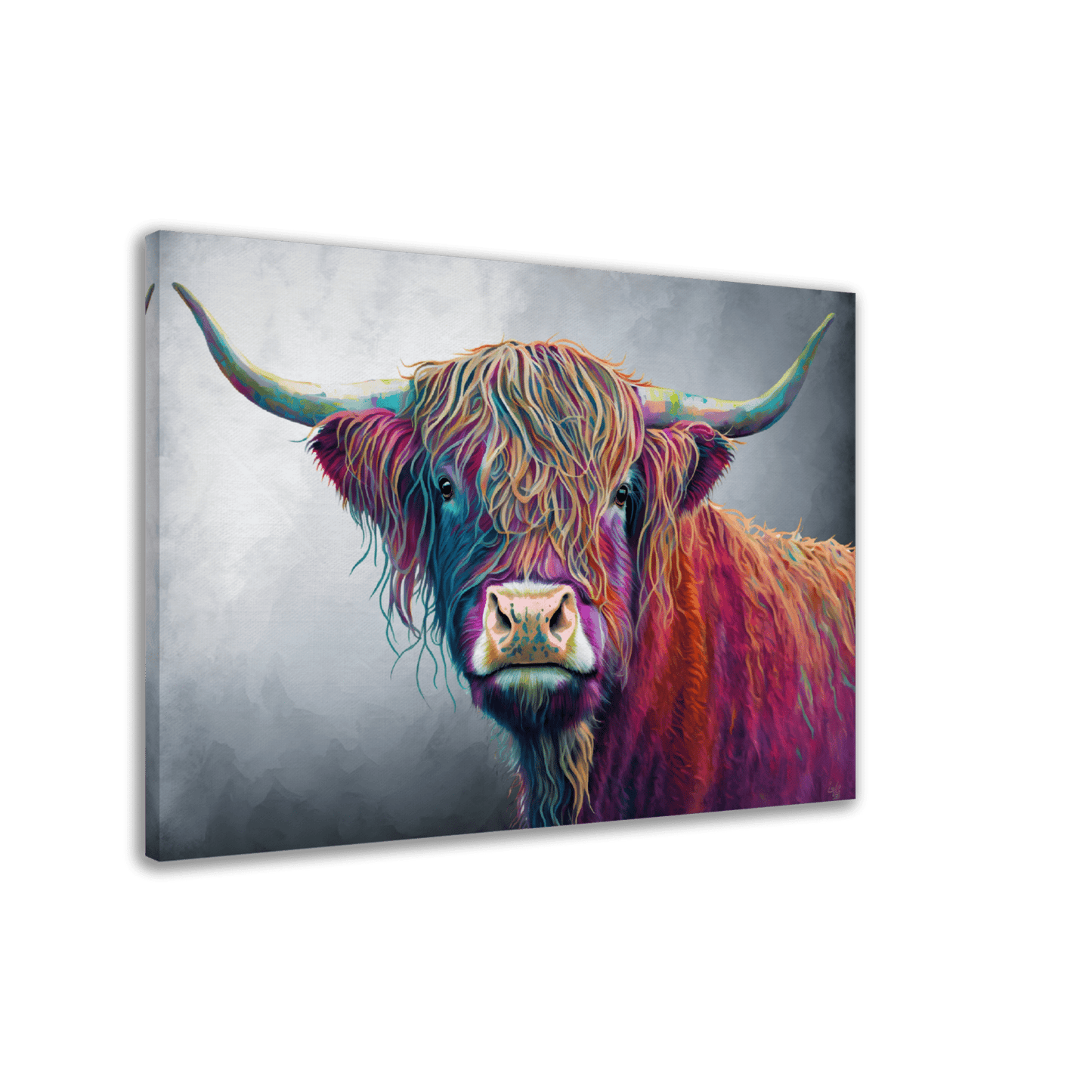 Highland Cow Canvas Canvas Prints in Accrington Number Plates Accrington IntelliPix