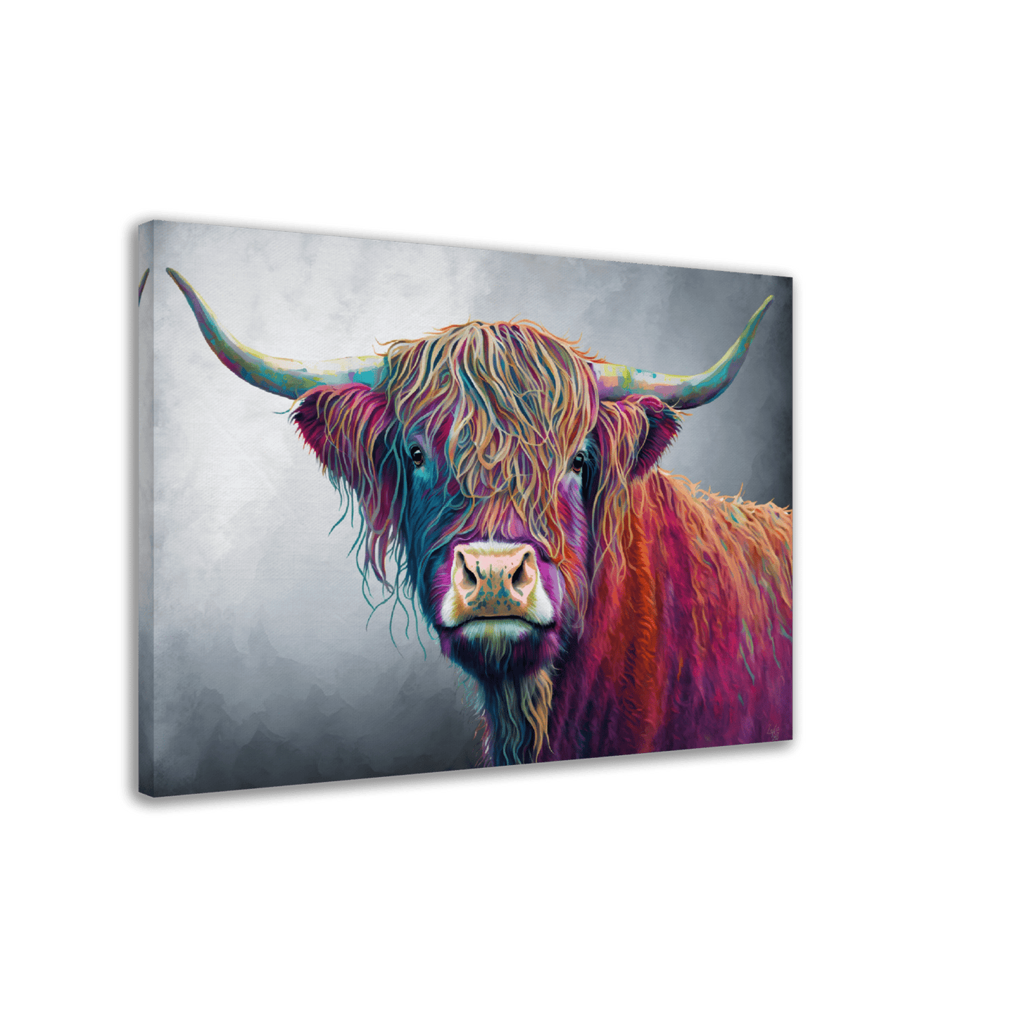 Highland Cow Canvas Canvas Prints in Accrington Number Plates Accrington IntelliPix