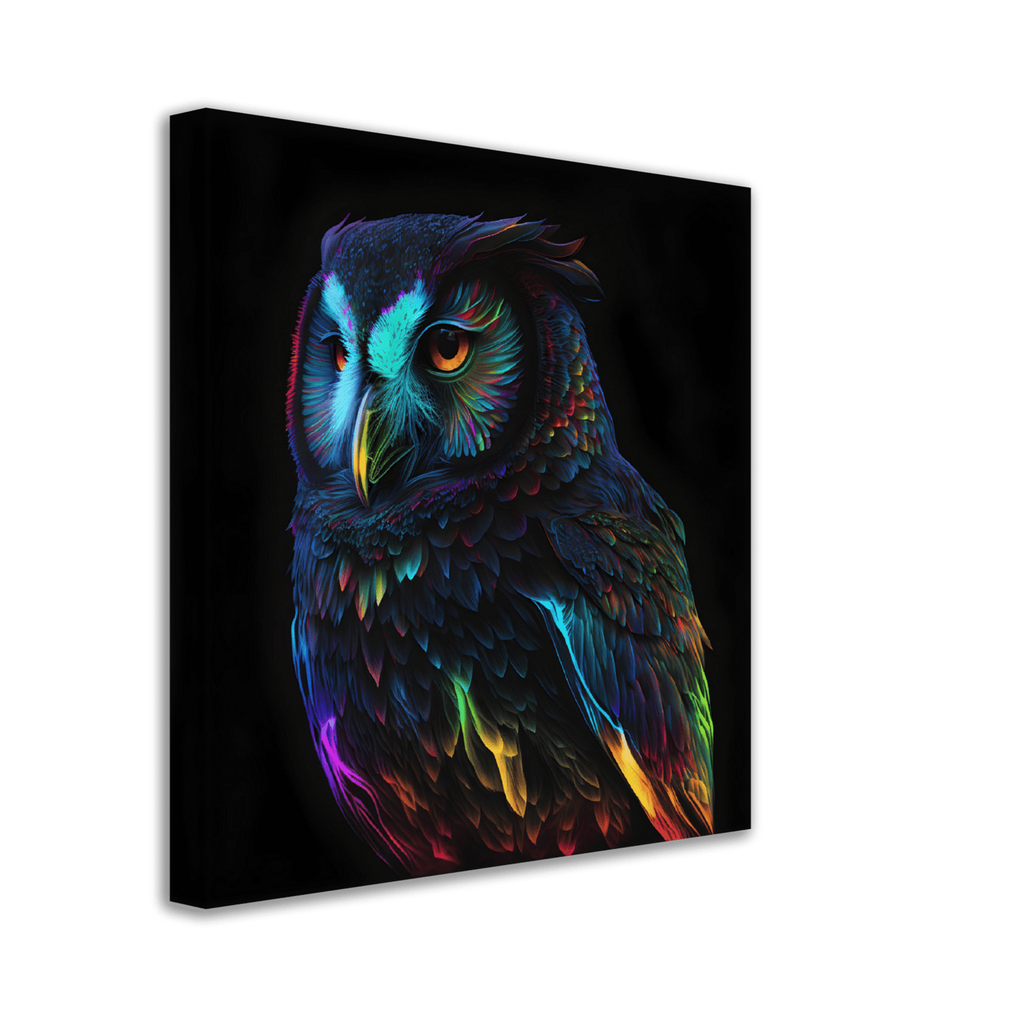 Midnight Rainbow Owl Canvas Canvas Prints in Accrington Number Plates Accrington IntelliPix