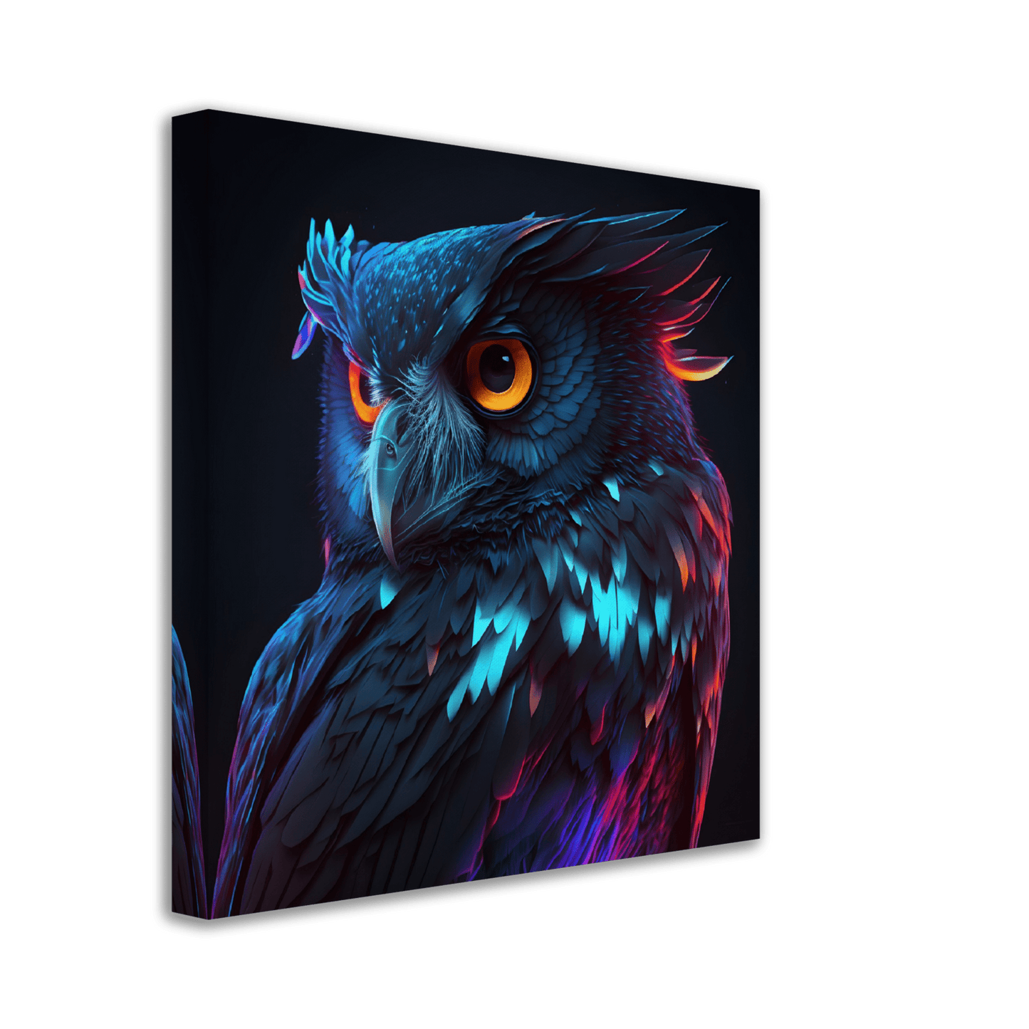 Midnight Rainbow Owl Canvas Canvas Prints in Accrington Number Plates Accrington IntelliPix