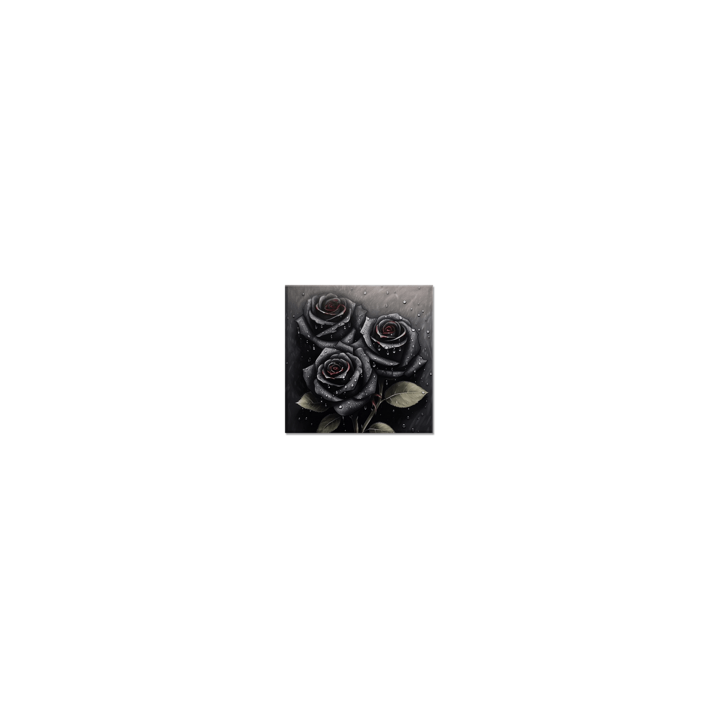 Black Roses Canvas Canvas Prints in Accrington Number Plates Accrington IntelliPix