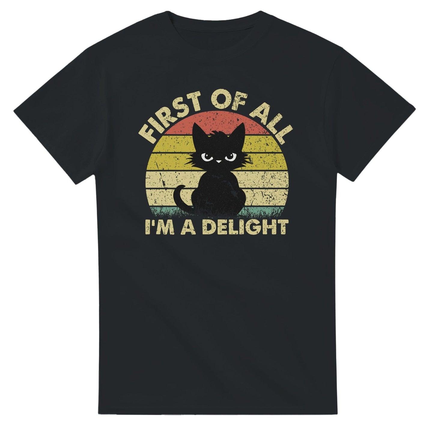 First Of All, I'm A Delight T-Shirt Canvas Prints in Accrington Number Plates Accrington IntelliPix