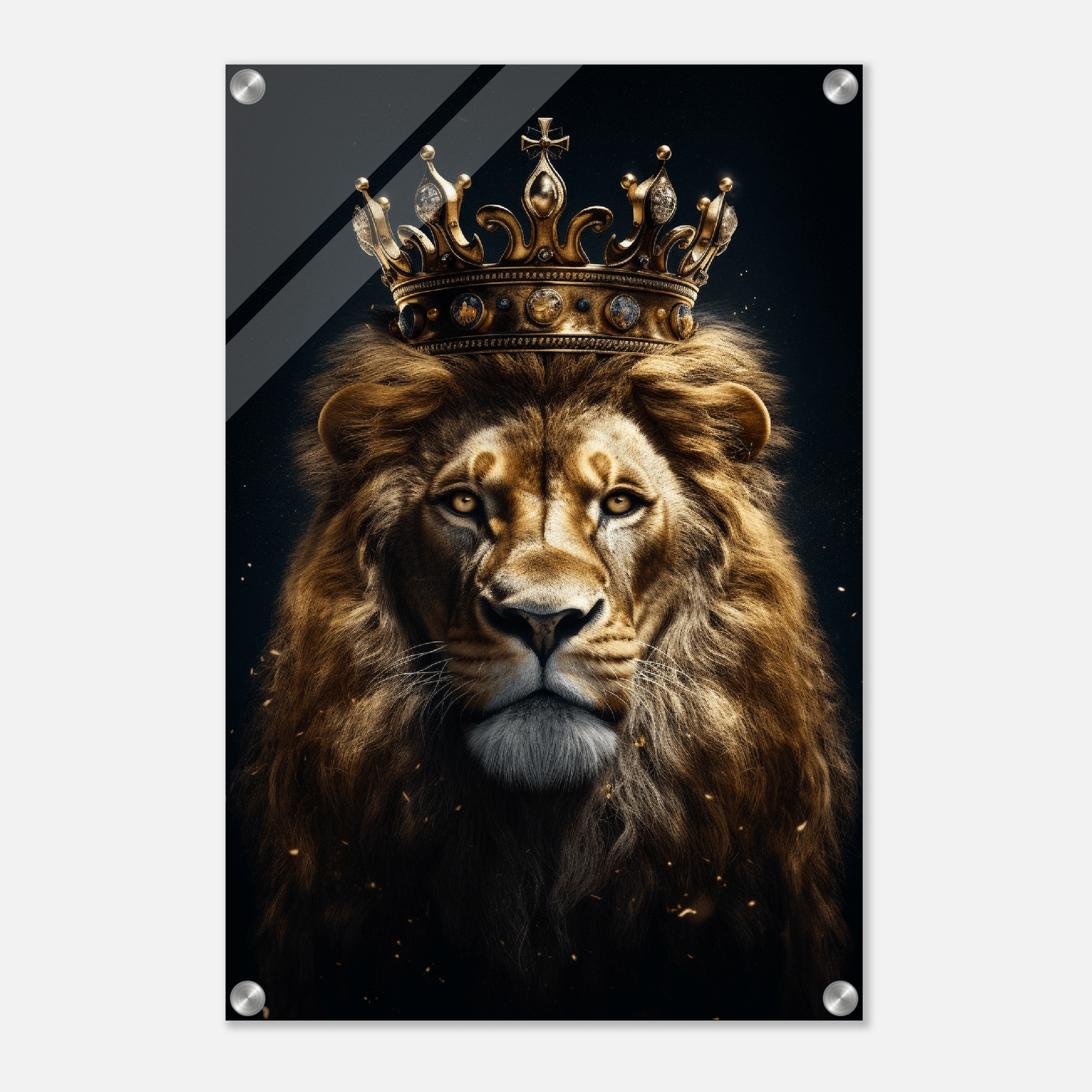 Lion King Acrylic Print Canvas Prints in Accrington Number Plates Accrington IntelliPix