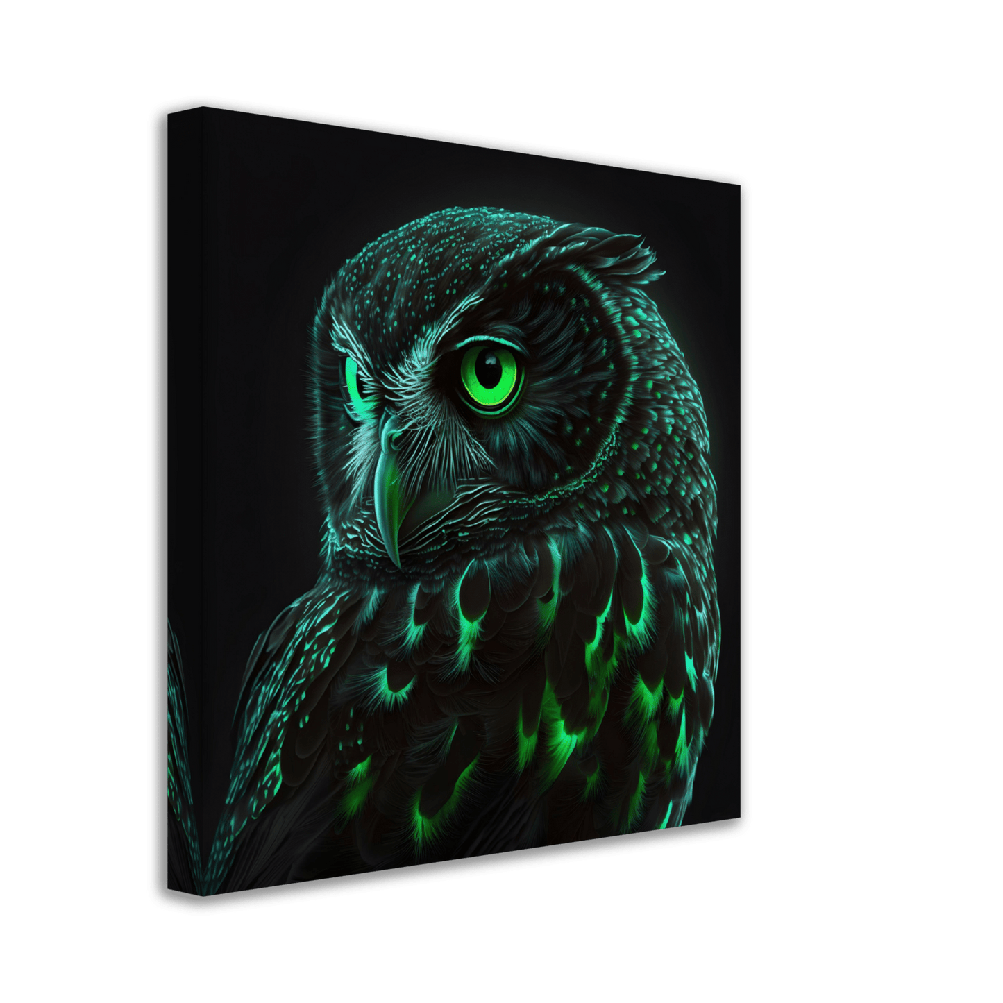 Midnight Emerald Owl Canvas Canvas Prints in Accrington Number Plates Accrington IntelliPix