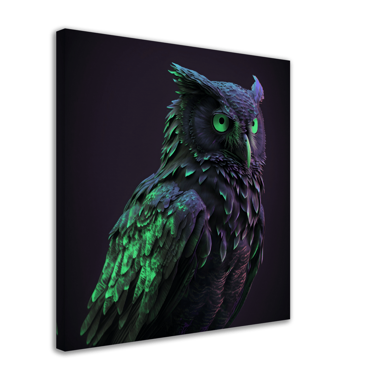 Midnight Emerald Owl Canvas Canvas Prints in Accrington Number Plates Accrington IntelliPix