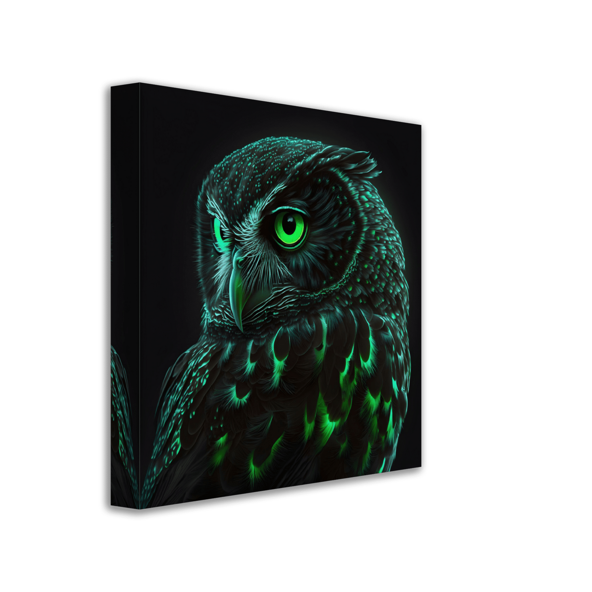 Midnight Emerald Owl Canvas Canvas Prints in Accrington Number Plates Accrington IntelliPix