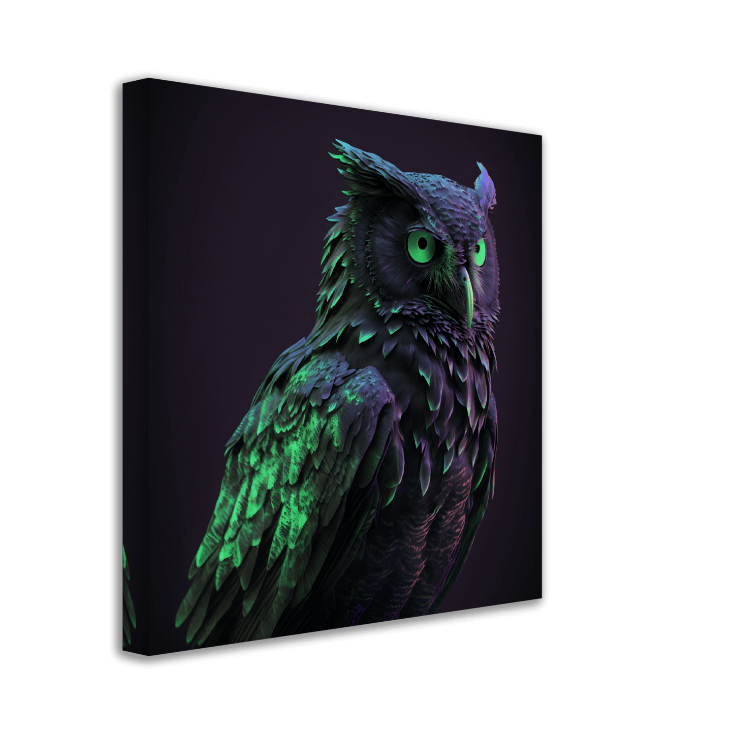 Midnight Emerald Owl Canvas Canvas Prints in Accrington Number Plates Accrington IntelliPix