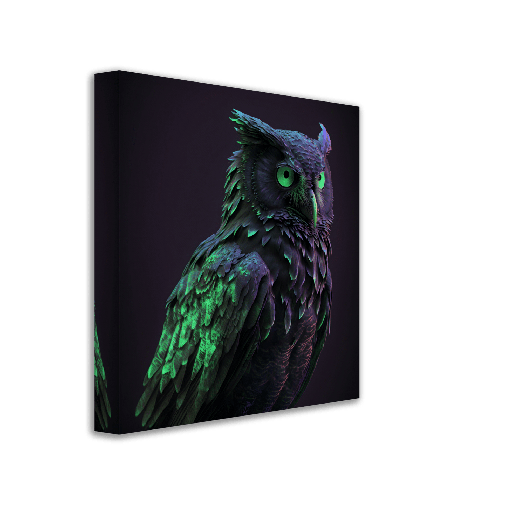 Midnight Emerald Owl Canvas Canvas Prints in Accrington Number Plates Accrington IntelliPix