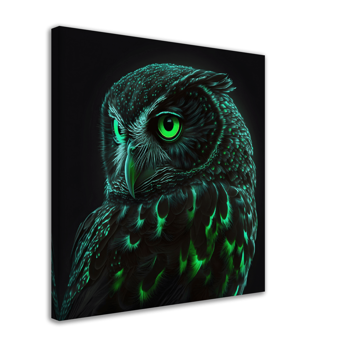 Midnight Emerald Owl Canvas Canvas Prints in Accrington Number Plates Accrington IntelliPix