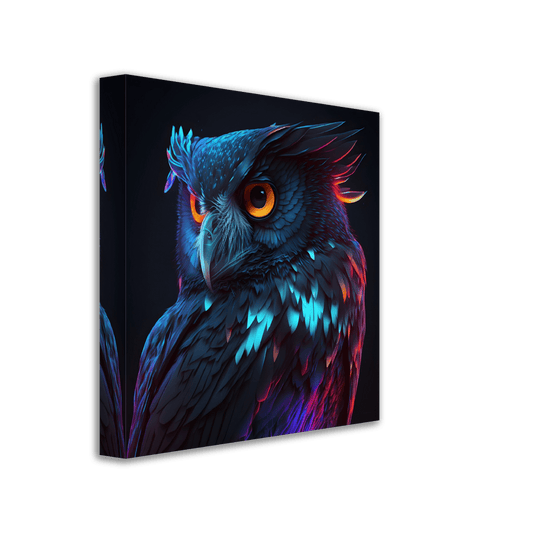 Midnight Rainbow Owl Canvas Canvas Prints in Accrington Number Plates Accrington IntelliPix