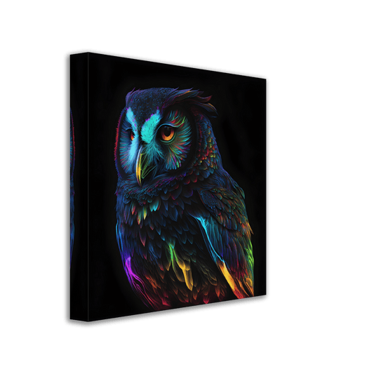 Midnight Rainbow Owl Canvas Canvas Prints in Accrington Number Plates Accrington IntelliPix