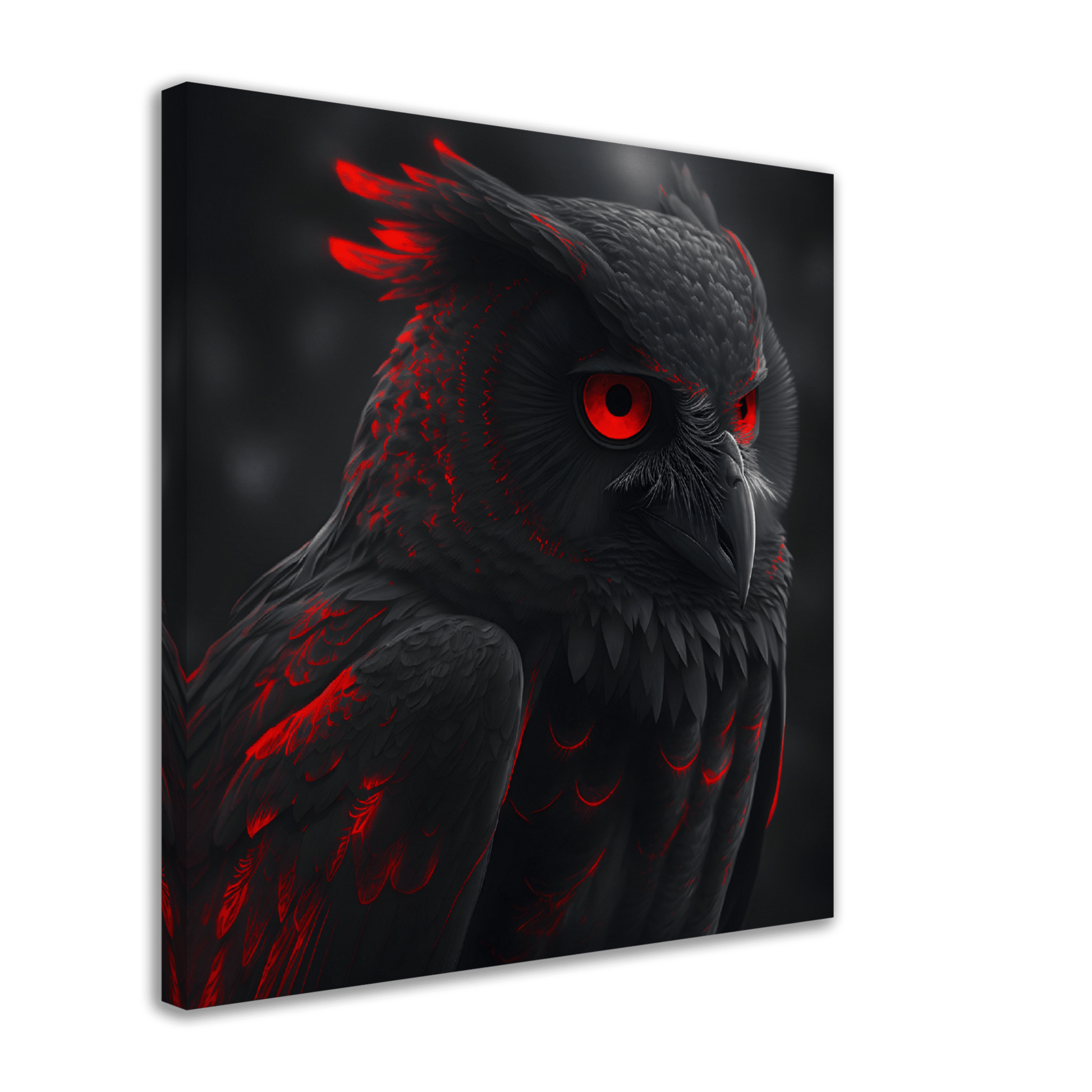 Midnight Ruby Owl Canvas Canvas Prints in Accrington Number Plates Accrington IntelliPix