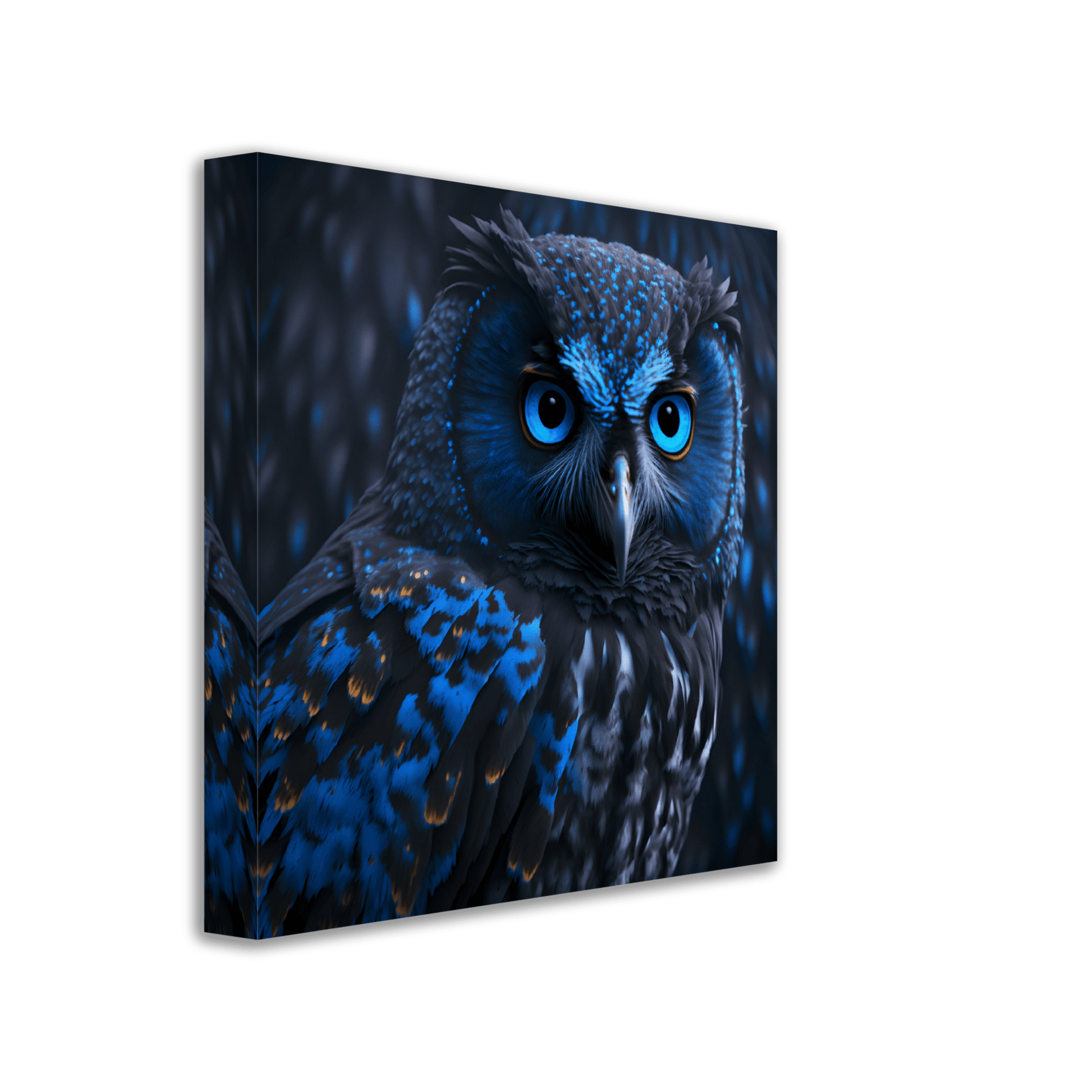 Midnight Sapphire Owl Canvas Canvas Prints in Accrington Number Plates Accrington IntelliPix