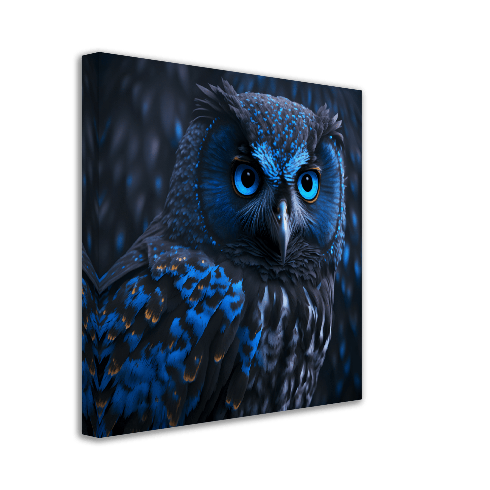 Midnight Sapphire Owl Canvas Canvas Prints in Accrington Number Plates Accrington IntelliPix