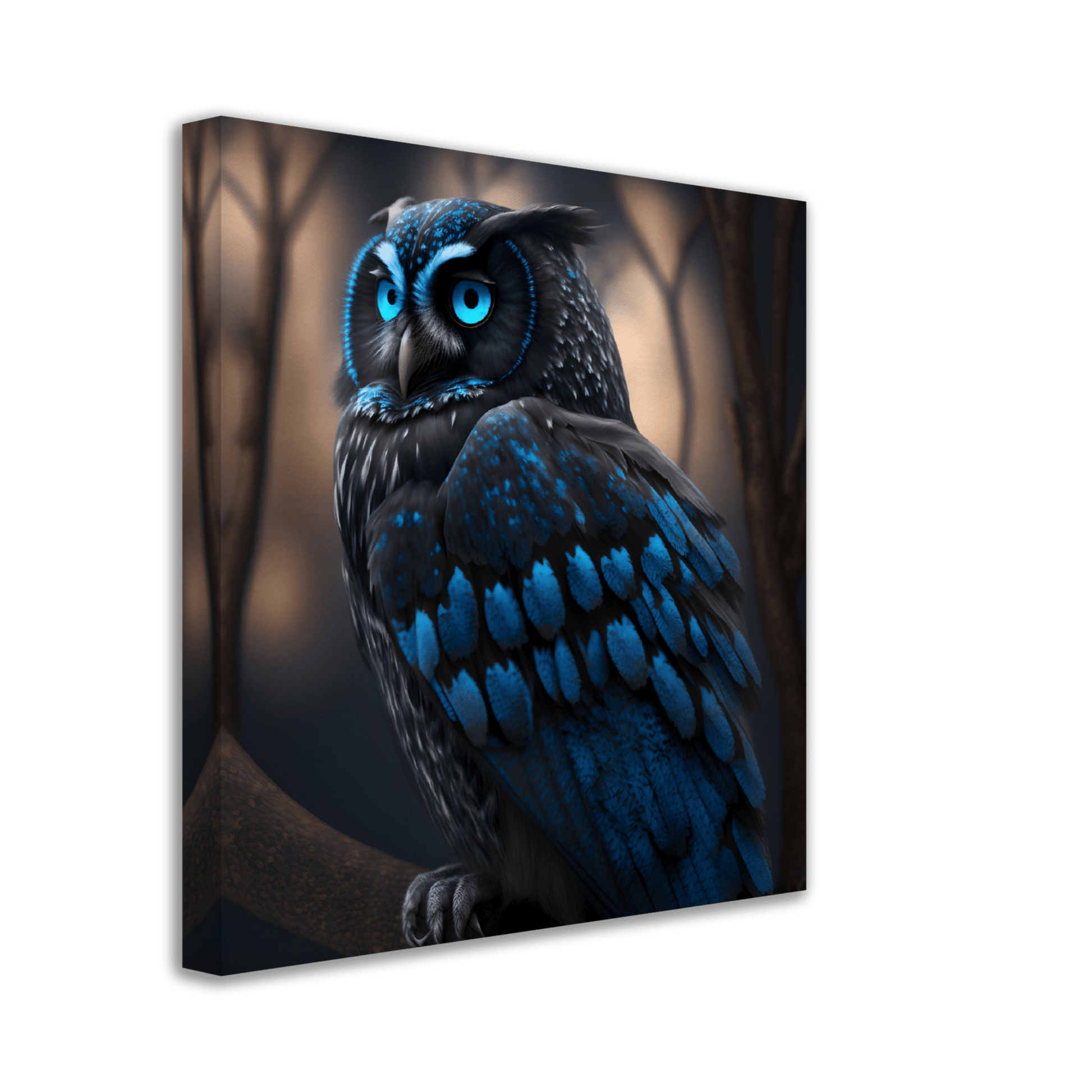 Midnight Sapphire Owl Canvas Canvas Prints in Accrington Number Plates Accrington IntelliPix