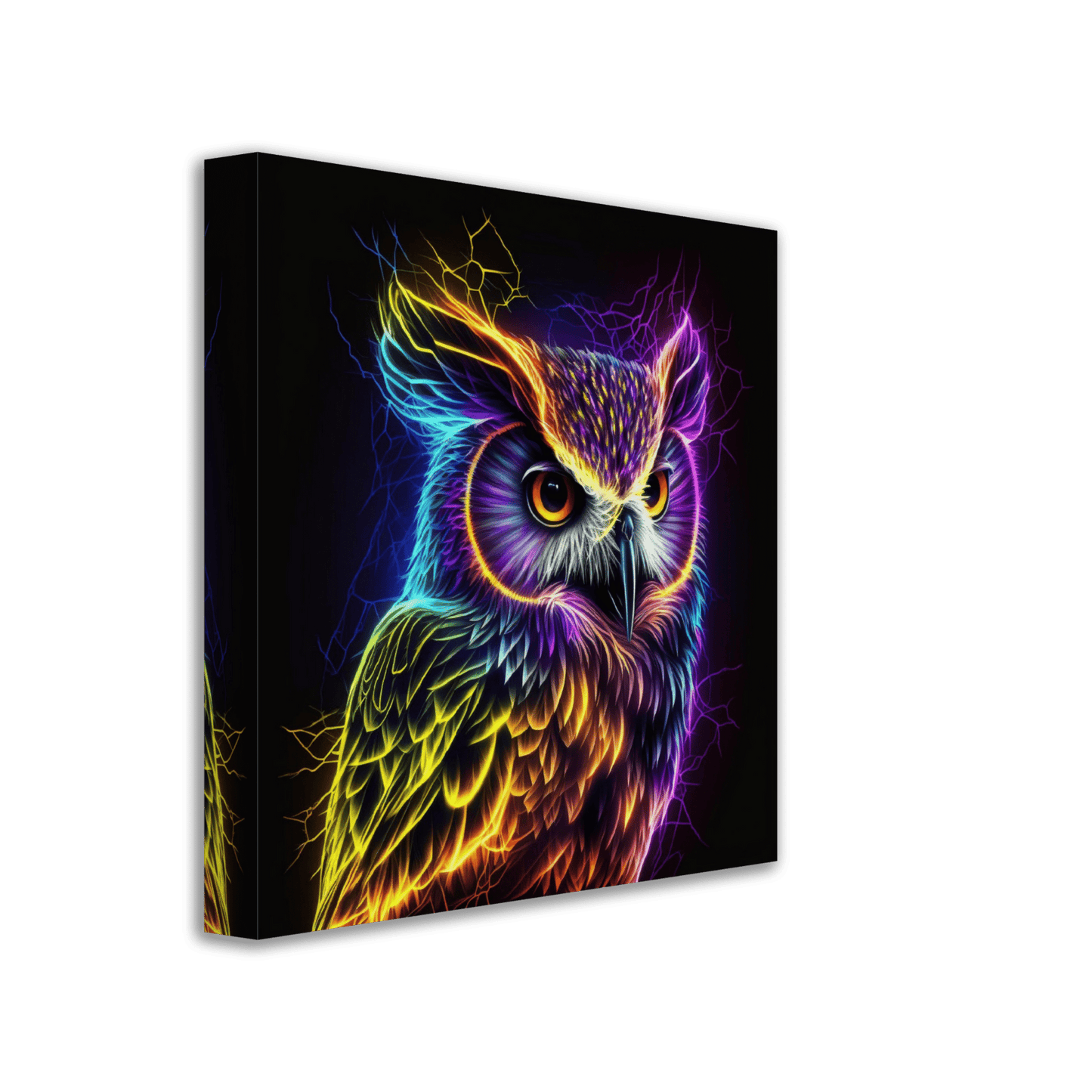 Neon Owl Canvas Canvas Prints in Accrington Number Plates Accrington IntelliPix