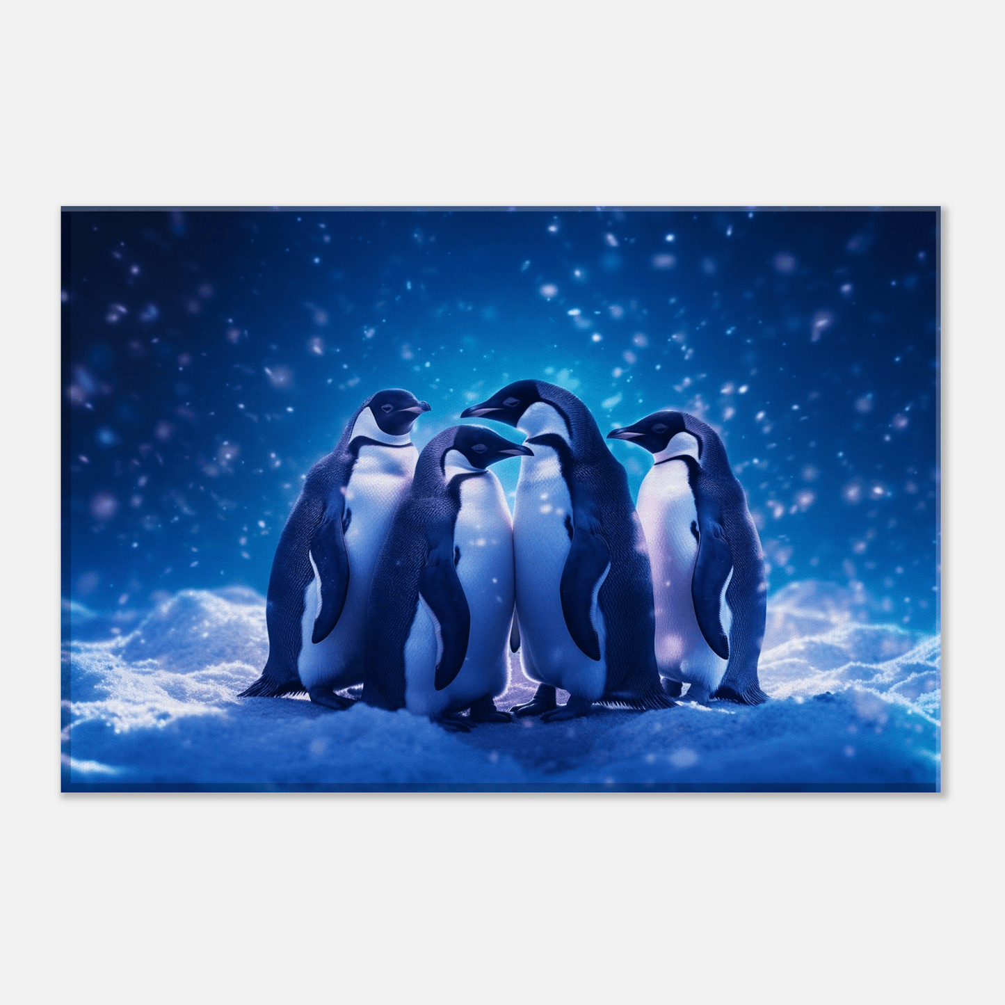 Penguin Waddle Canvas Canvas Prints in Accrington Number Plates Accrington IntelliPix