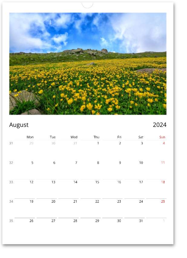 Personalised 2024 Calendar Canvas Prints in Accrington Number Plates Accrington IntelliPix