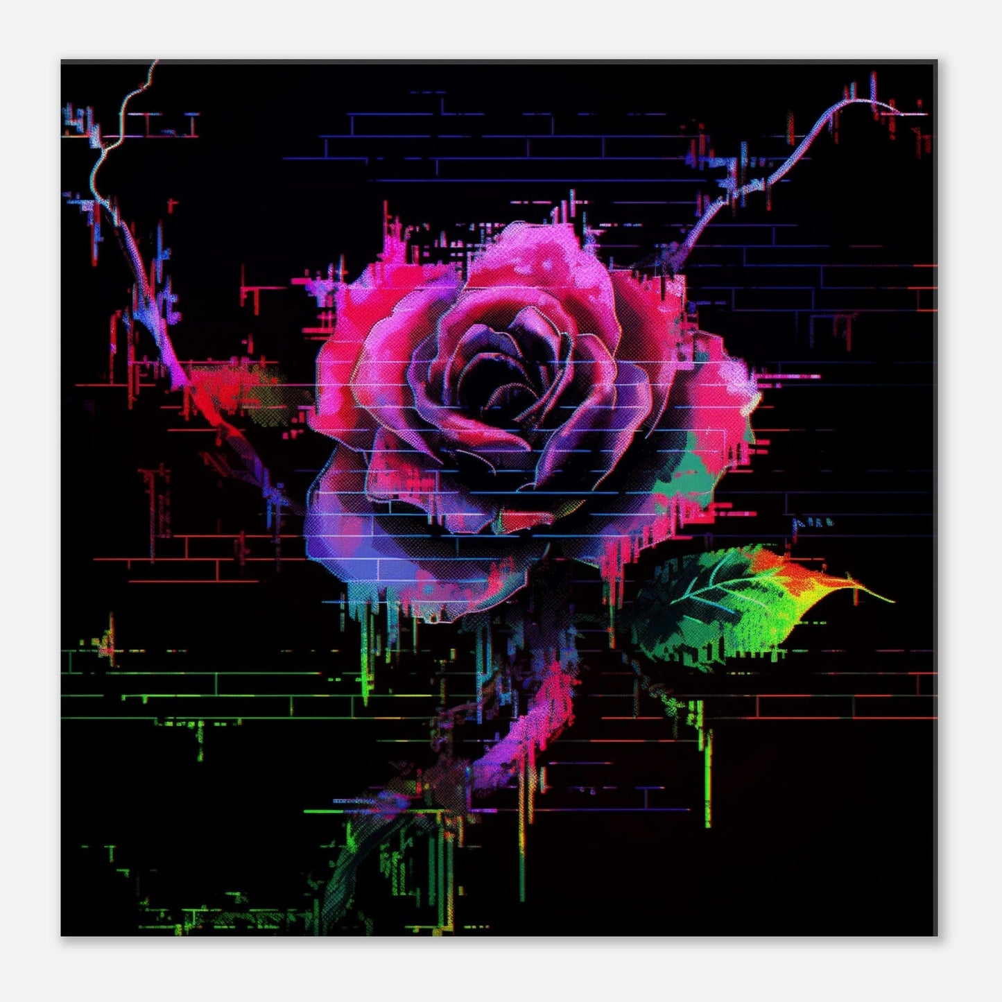 Rose Glitch Effect Canvas Canvas Prints in Accrington Number Plates Accrington IntelliPix