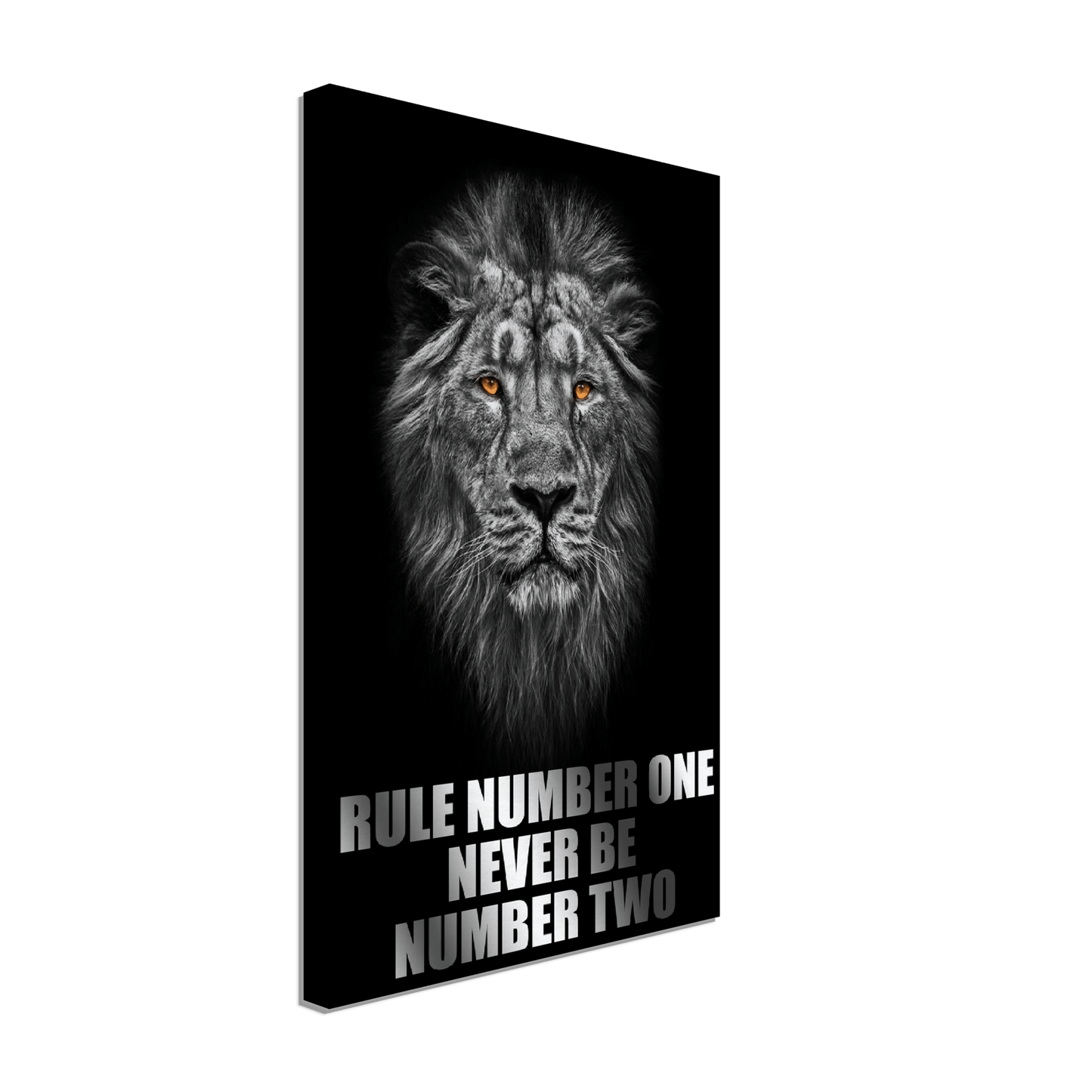 Rule Number One - Lion Mentality Canvas Canvas Prints in Accrington Number Plates Accrington IntelliPix