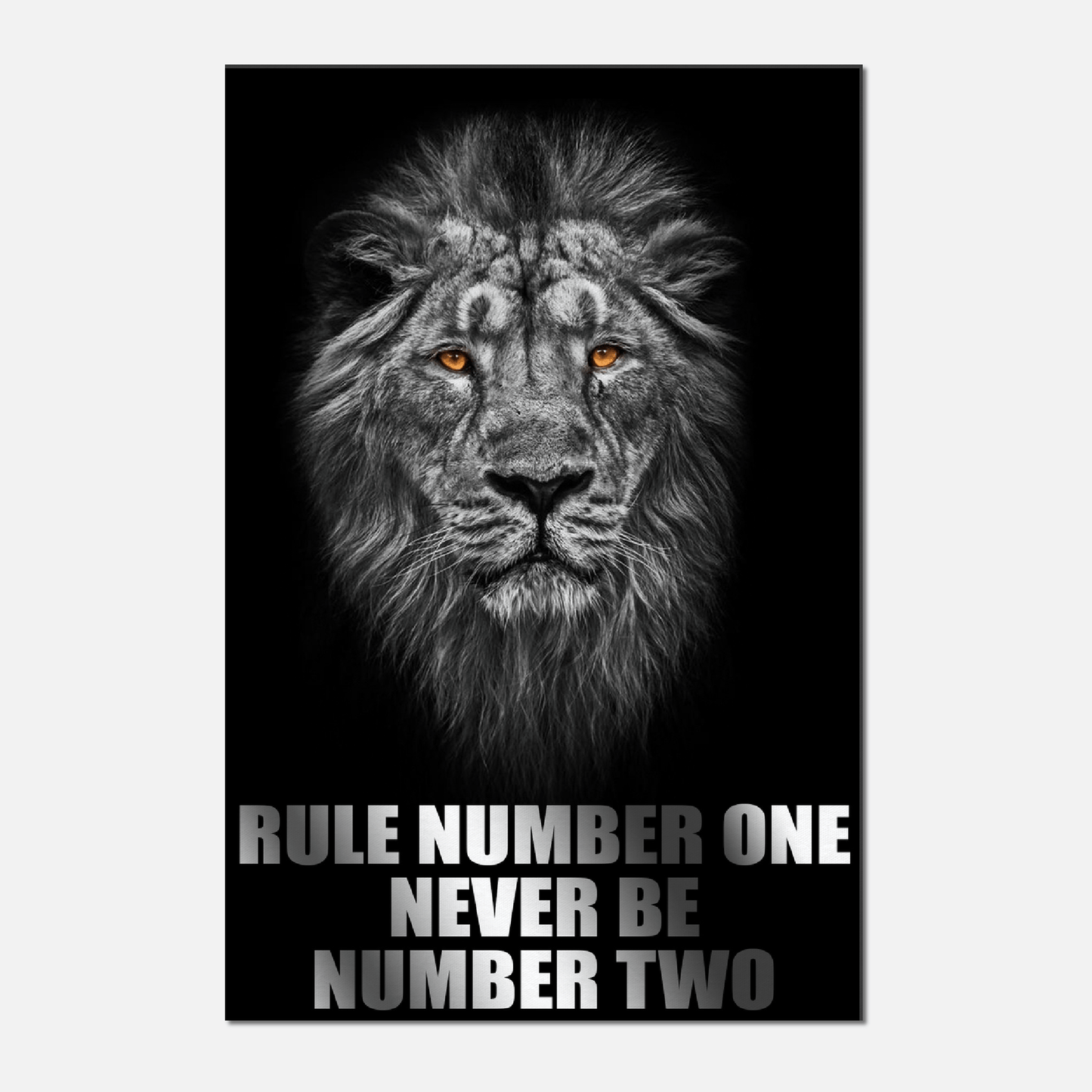 Rule Number One - Lion Mentality Canvas Canvas Prints in Accrington Number Plates Accrington IntelliPix