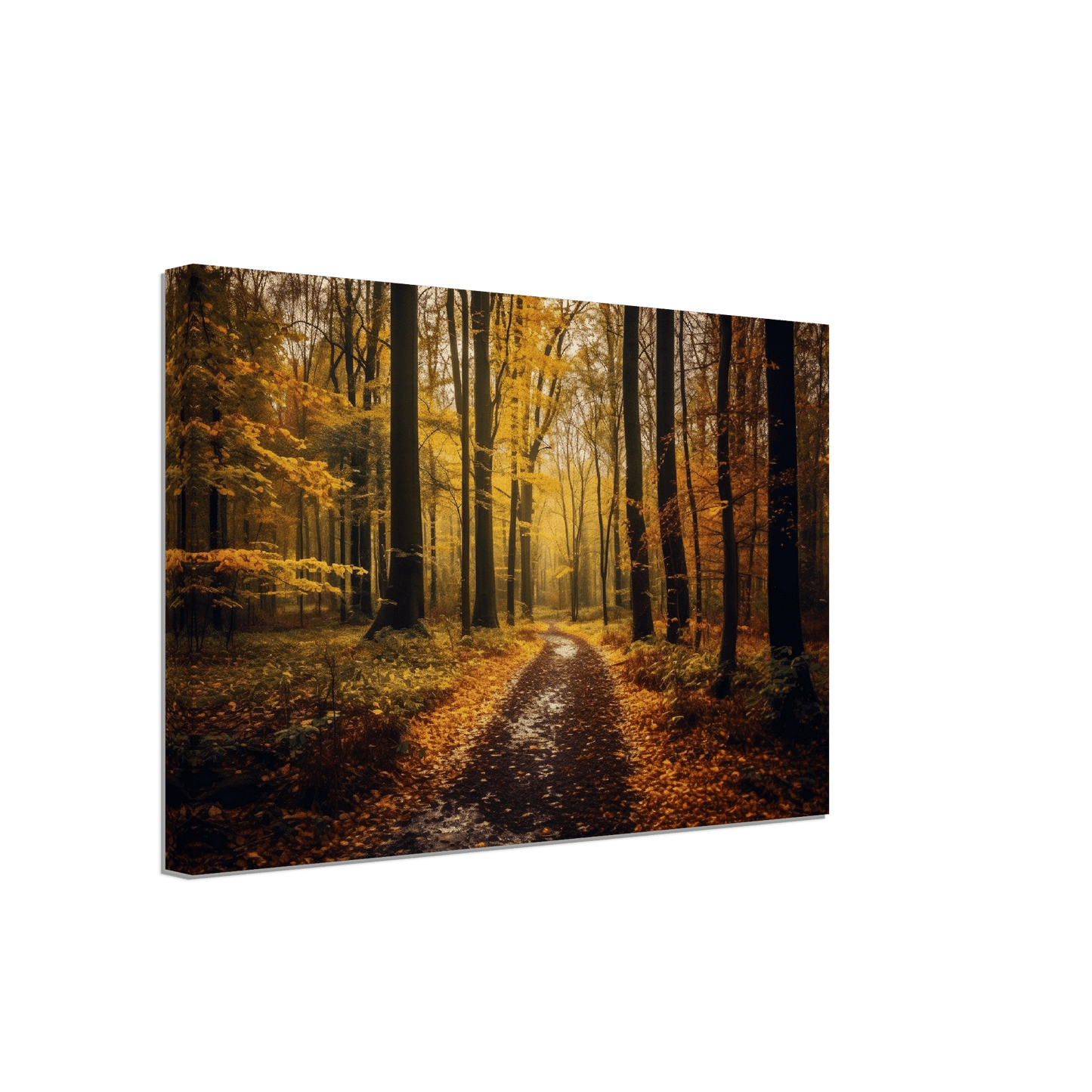 The Perfect Fall Canvas Canvas Prints in Accrington Number Plates Accrington IntelliPix