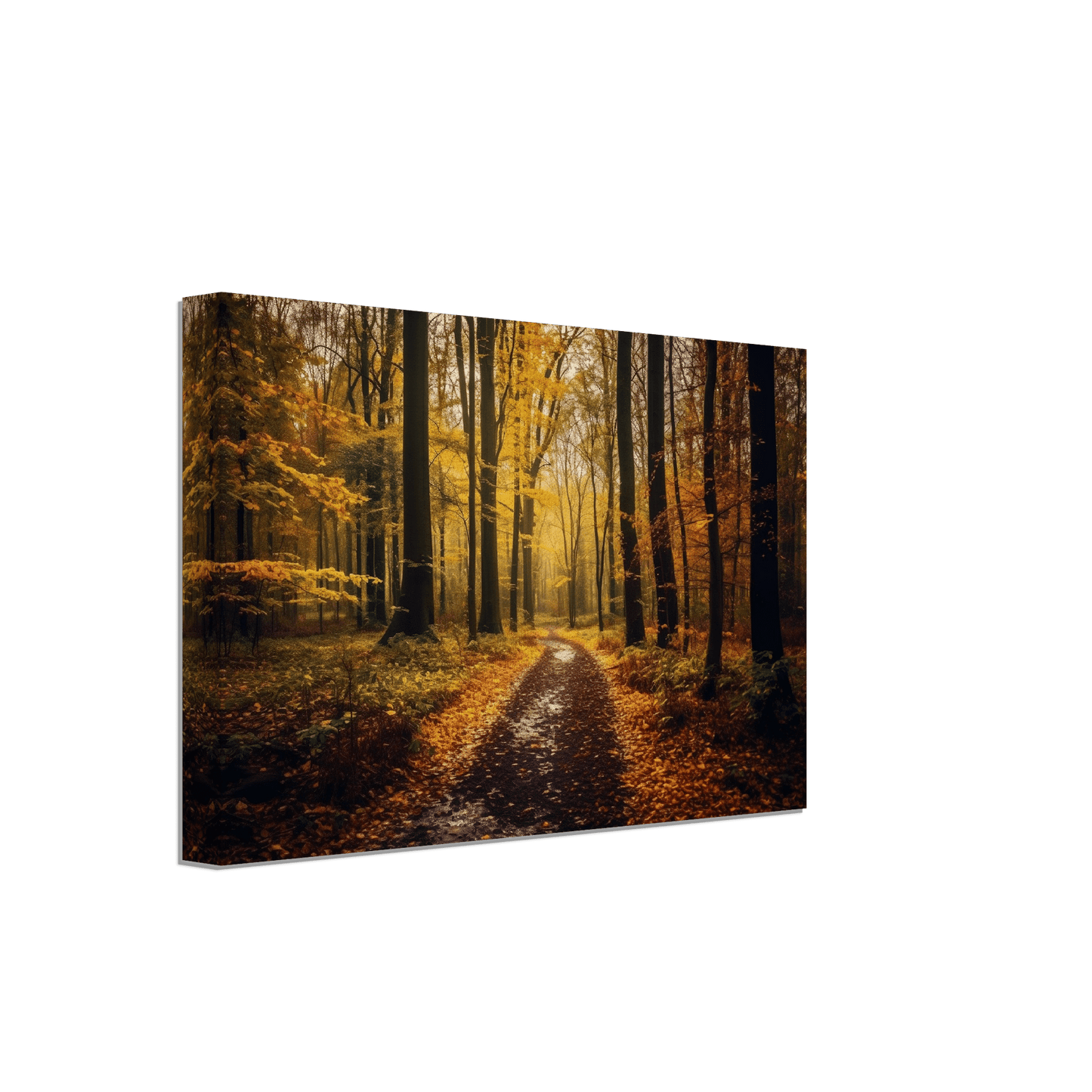 The Perfect Fall Canvas Canvas Prints in Accrington Number Plates Accrington IntelliPix