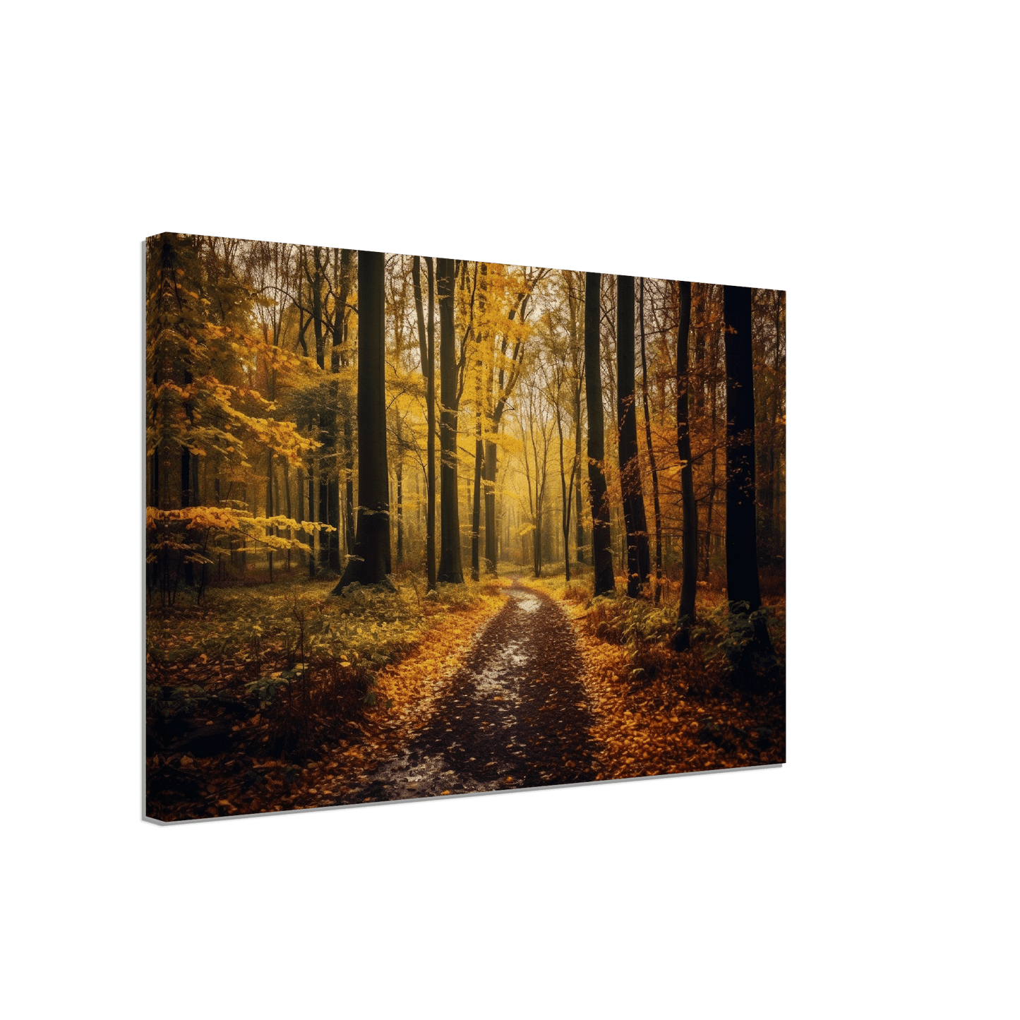 The Perfect Fall Canvas Canvas Prints in Accrington Number Plates Accrington IntelliPix