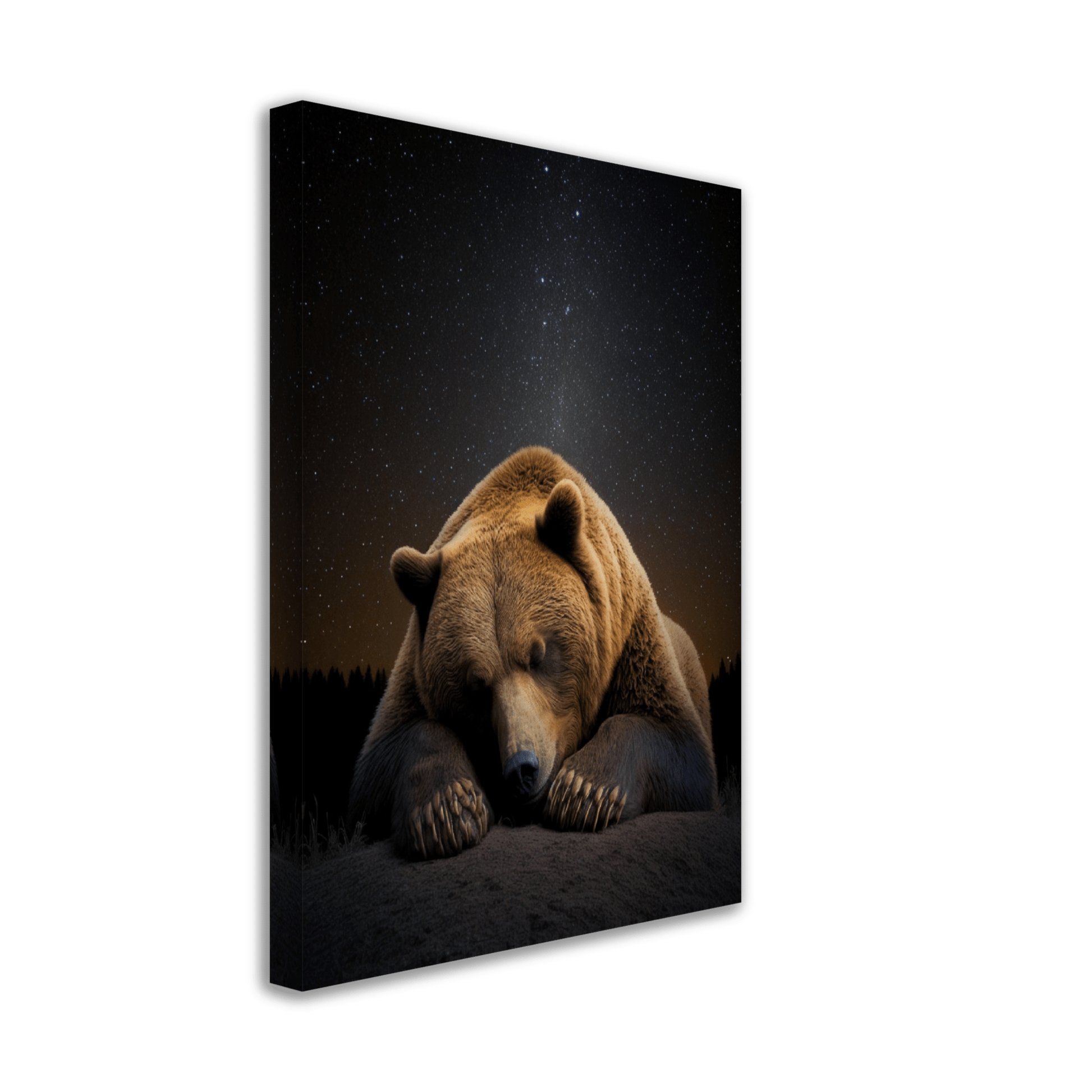 The Sleeping Bear Canvas Canvas Prints in Accrington Number Plates Accrington IntelliPix