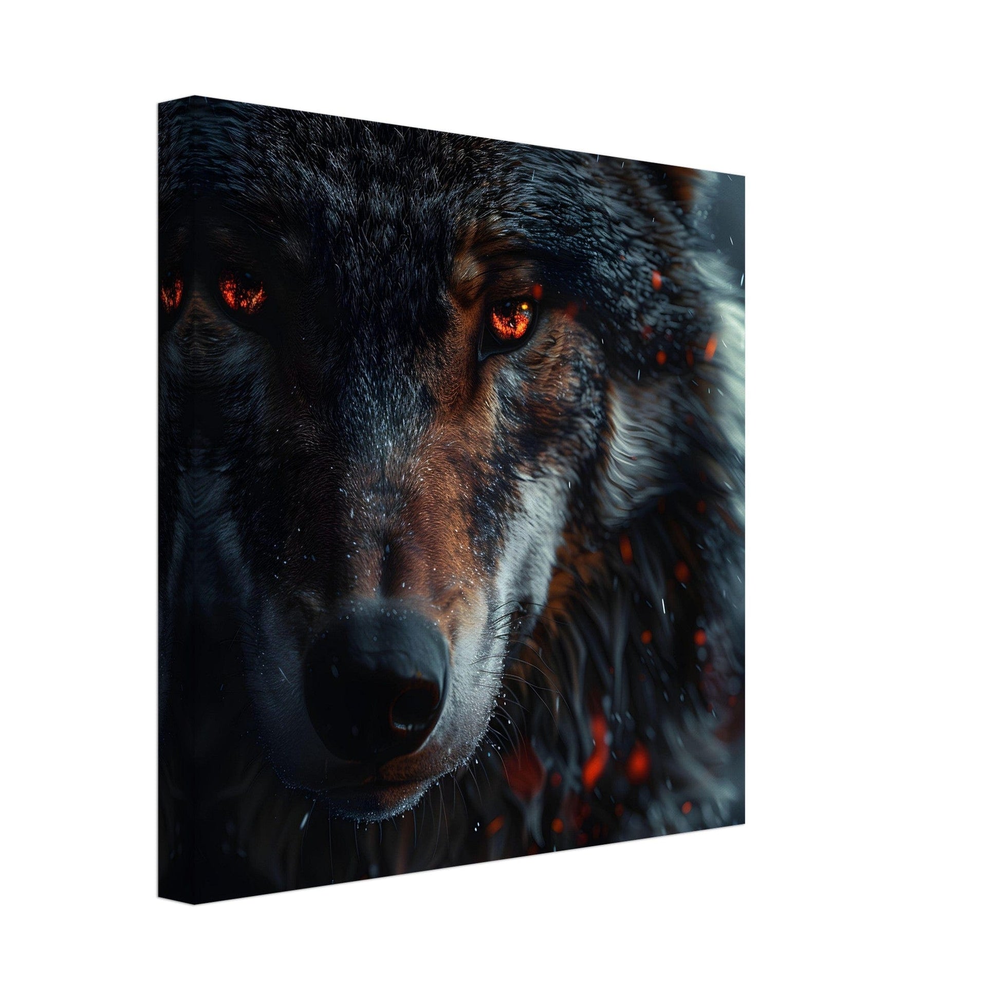 Wolf Canvas Canvas Prints in Accrington Number Plates Accrington IntelliPix