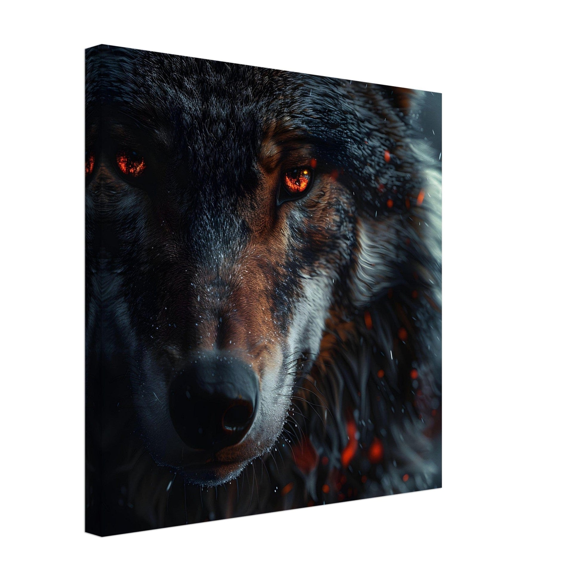 Wolf Canvas Canvas Prints in Accrington Number Plates Accrington IntelliPix